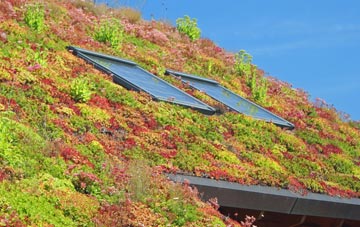 Hargate Hill living roof systems